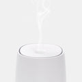 Mini USB Aromatherapy Diffuser and Humidifier