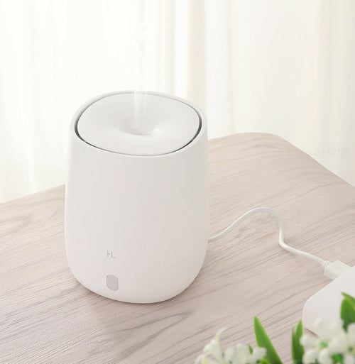 Mini USB Aromatherapy Diffuser and Humidifier